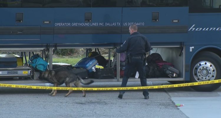 Heroic: Bus driver takes on armed shooter - Nine Line Apparel