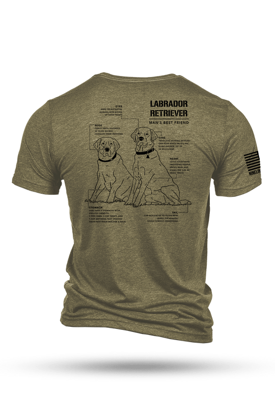 Labrador Schematic - T-Shirt