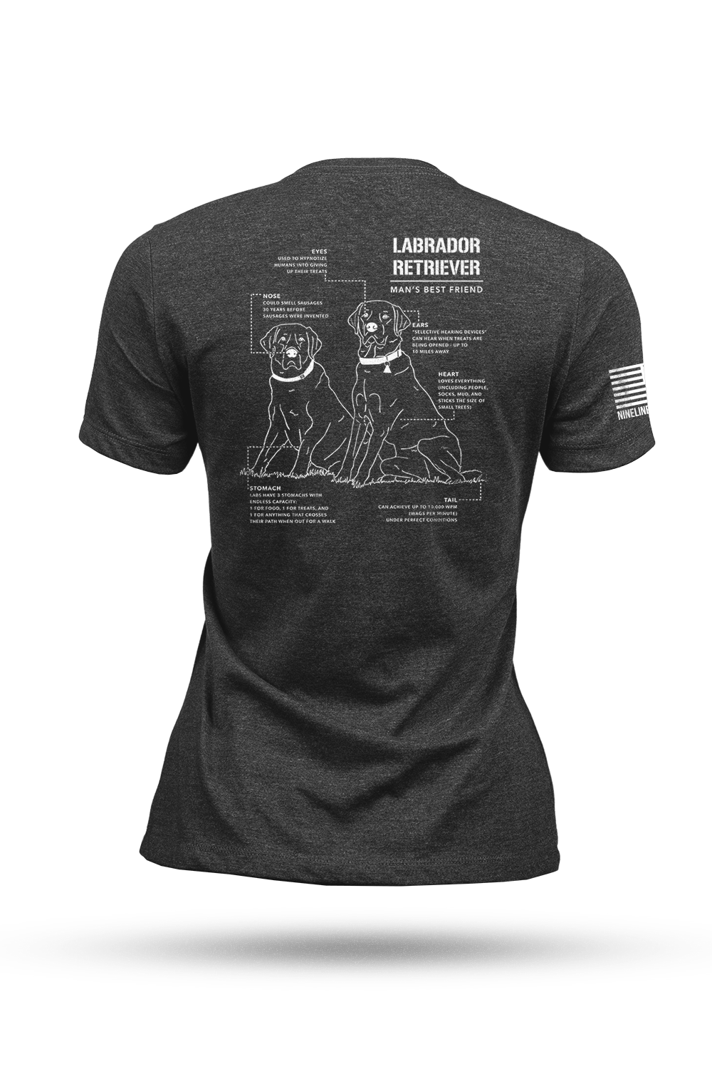 Labrador Schematic - Women's T-Shirt