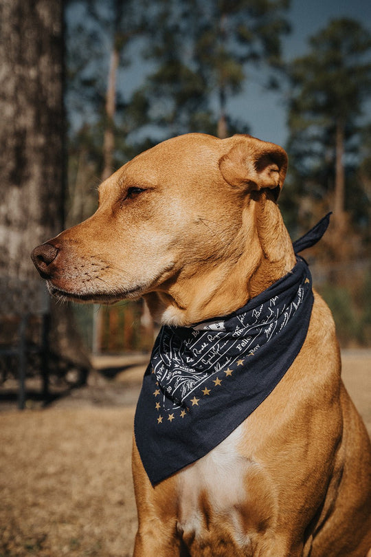 Presidential Pups Bandana — Made in the USA