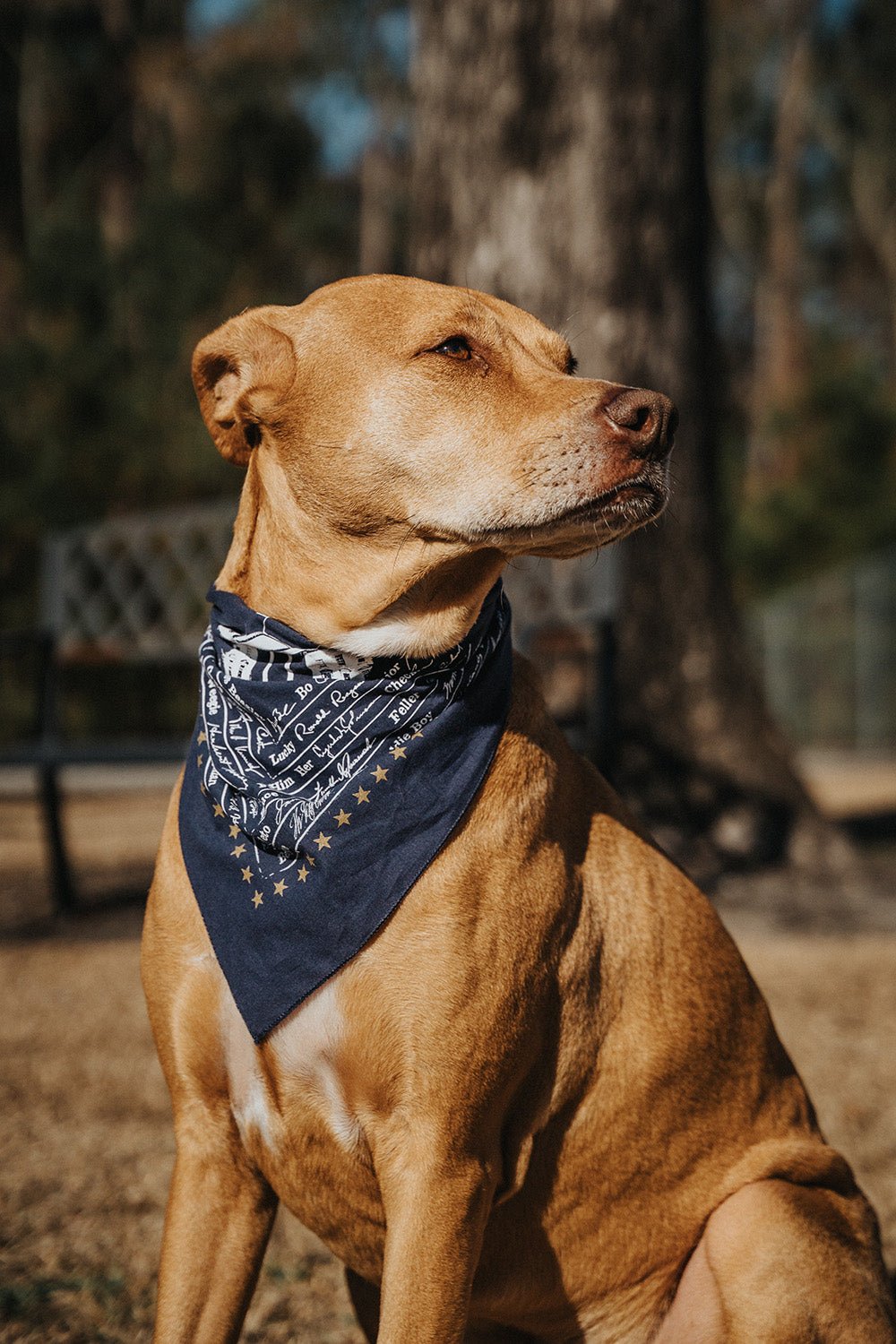 Presidential Pups Bandana — Made in the USA