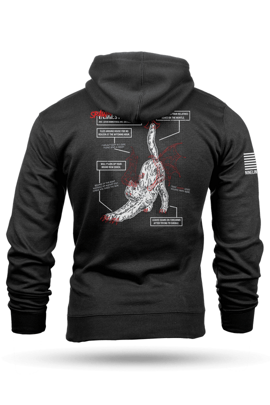 Spawn of Satan - Cat Schematic - Hoodie