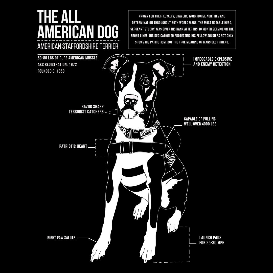 The All American Dog Explained - The Popular Pets